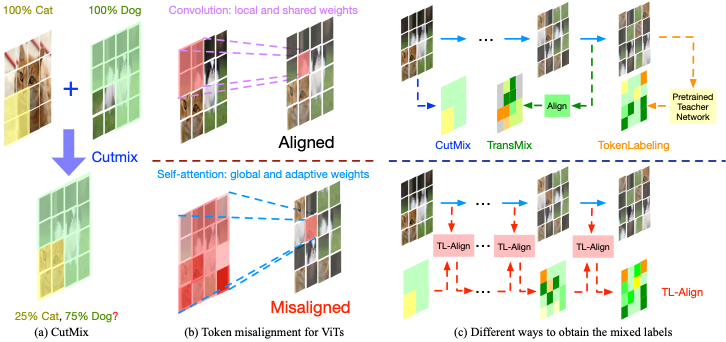 TL-Align aligns mixed-image labels with the visual tokens used by a transformer.
